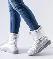 Silber